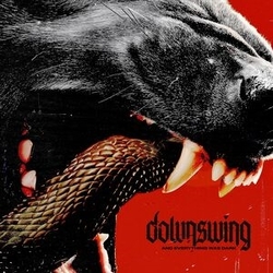 Downswing And Everything Was Dark VINYL LP