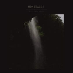 Monteagle Colorful Moth VINYL LP
