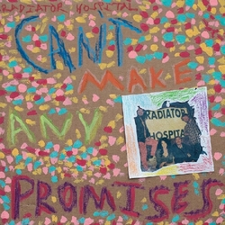 Radiator Hospital Can'T Make Any Promises VINYL LP