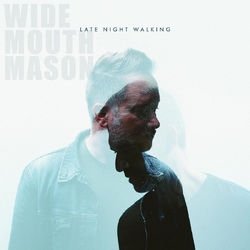 Wide Mouth Mason Late Night Walking VINYL LP