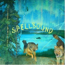 Boyscott Spellbound GREEN YELLOW AURORA VINYL LP
