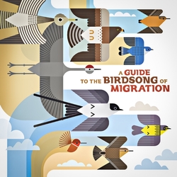 Various Artists Guide To The Birdsong Of Migration VINYL LP