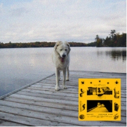 Jaguar Sun Daisy BLACK & YELLOW SWIRL VINYL LP