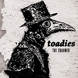 Toadies Charmer 180GM VINYL LP