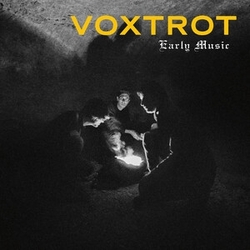 Voxtrot Early Music TIGER EYE VINYL LP