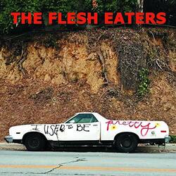 Flesh Eaters I Used To Be Pretty (2 LP/Dl Code) Vinyl LP