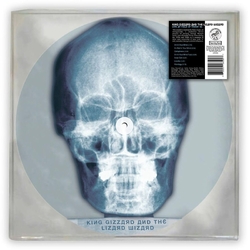 King Gizzard & The Lizard Wizard Skull X-Ray (Deluxe Edition Picture Disc) VINYL LP