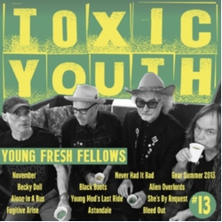 Young Fresh Fellows Toxic Youth VINYL LP