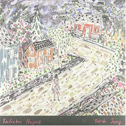 Radiator Hospital Torch Song VINYL LP