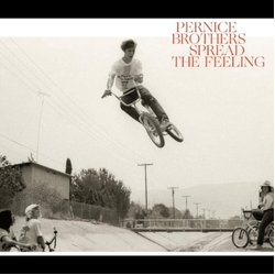 Pernice Brothers Spread The Feeling