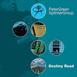 Peter Green Destiny Road VINYL LP