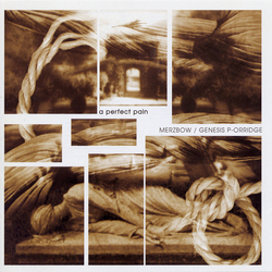 Merzbow / Genesis Breyer P-Orridge Perfect Pain Vinyl LP