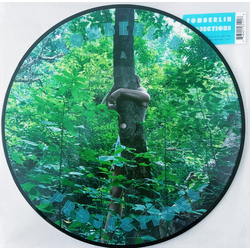Tomberlin Projections PICTURE DISC VINYL LP