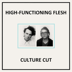 High Functioning Flesh Vinyl LP