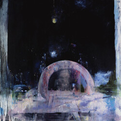 Daughter Not To Disappear VINYL LP