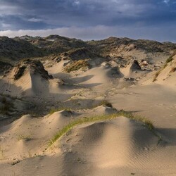 White Manna Dune Worship
