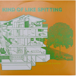 Kind Of Like Spitting Bridges Worth Burning VINYL LP