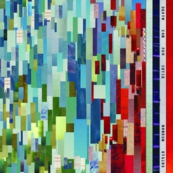 Death Cab For Cutie Narrow Stairs VINYL LP