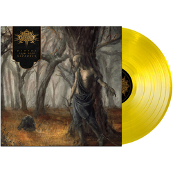Fires In The Distance Echoes From Deep November VINYL LP
