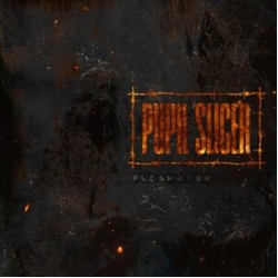Pupil Slicer Fleshwork VINYL LP