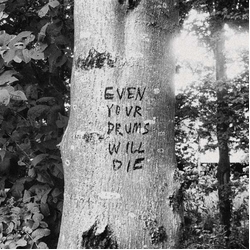 Richard Swift Even Your Drums Will Die: Live At Pendarvis Farm VINYL LP