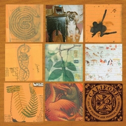 Califone All My Friends Are Funeral Singers VINYL LP