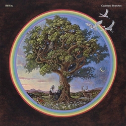 Bill Fay Countless Branches VINYL LP