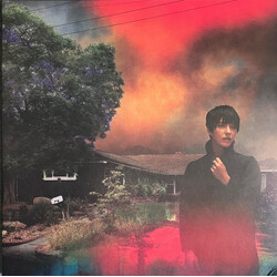 Sharon Van Etten We've Been Going About This All Wrong Multi VINYL LP/CD