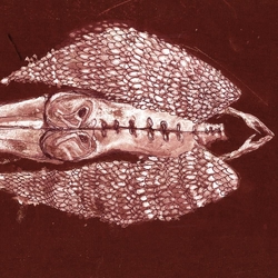 Cerberus Shoal Homb ANNIVERSARY EDITION 2 VINYL LP