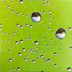 The Books Lost And Safe Vinyl LP