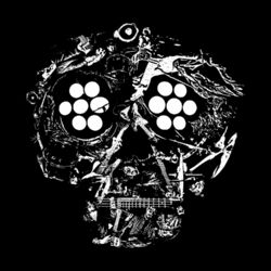Young Widows Decayed: Ten Years Of Cities Wounds Lightness & Pain Vinyl LP