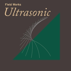 Various Artists Field Works: Ultrasonic 2 VINYL LP