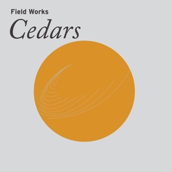 Field Works Cedars VINYL LP