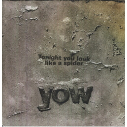 David Yow Tonight You Look Like A Spider VINYL LP