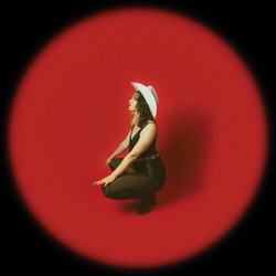 Sweet Megg My Window Faces The South VINYL LP