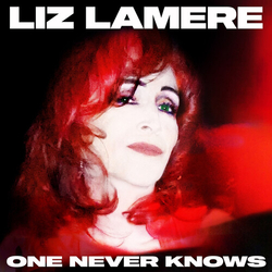 Liz Lamere One Never Knows VINYL LP