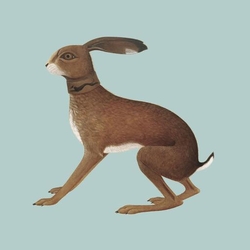 Vashti Bunyan Lookaftering EXPANDED 2 VINYL LP