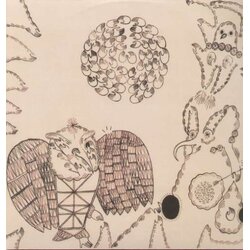 Devendra Banhart Rejoicing In The Hands / Nino Rojo Vinyl LP
