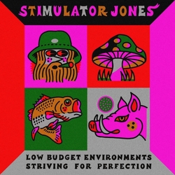 Stimulator Jones Low Budget Environments Striving For Perfection VINYL LP