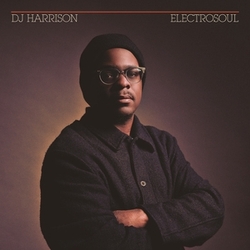 Dj Harrison Electrosoul VINYL LP