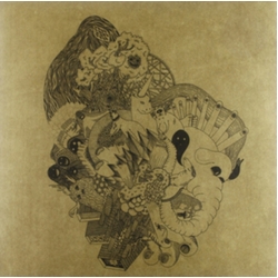Dimlite Prismic Tops VINYL LP