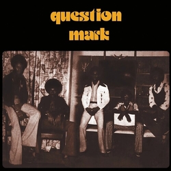 Question Mark Be Nice To People VINYL LP