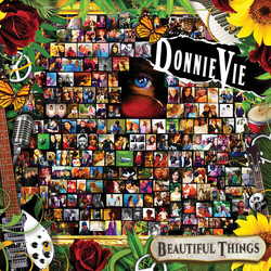 Donnie Vie Beautiful Things VINYL LP