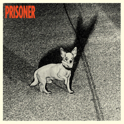 Prisoner Prisoner VINYL LP