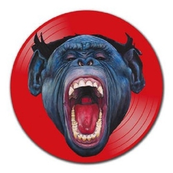 Puscifer V Is For Viagra: Remixes DOUBLE PICTURE DISC CLEAR PLASTIC SLEEVE VINYL LP