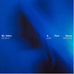 Mr. Kafer Past Sense VINYL LP