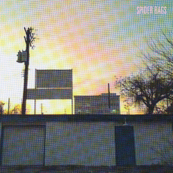 Spider Bags Someday Everything Will Be Fine Vinyl LP