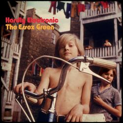 Essex Green Hardly Electronic Vinyl LP