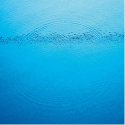 Caribou Suddenly DL CARD VINYL LP