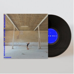 Torres What An Enormous Room VINYL LP